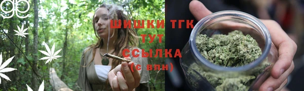 spice Козловка