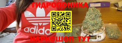 ALPHA PVP Краснознаменск