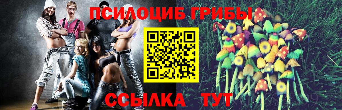 Псилоцибиновые грибы Psilocybine cubensis  Псилоцибиновые грибы мухоморы  Вход с VPN  Краснокаменск 